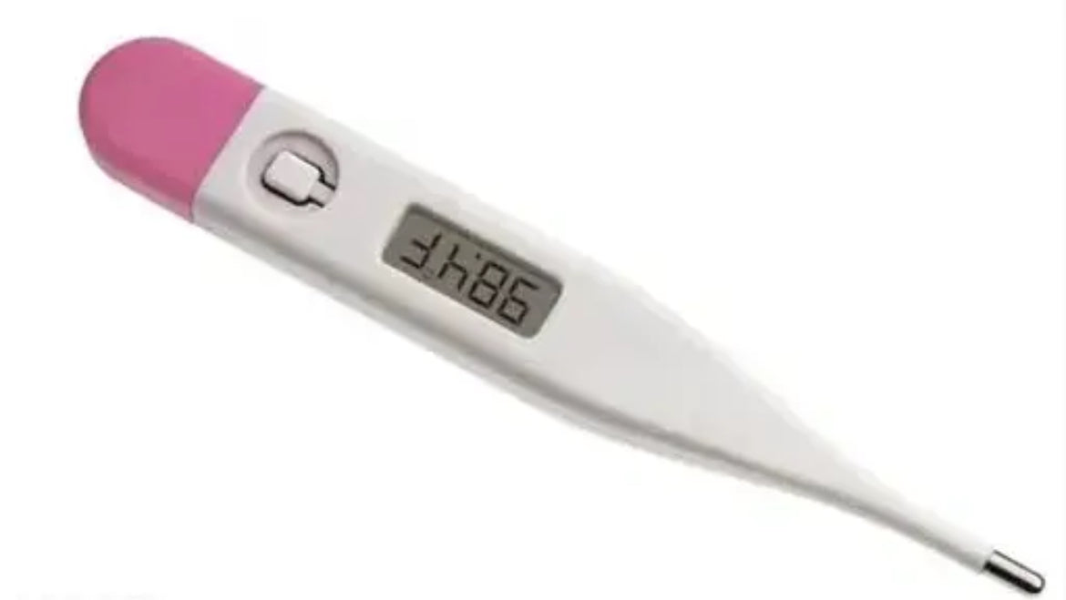 SALE: Digital Thermometer - Pink