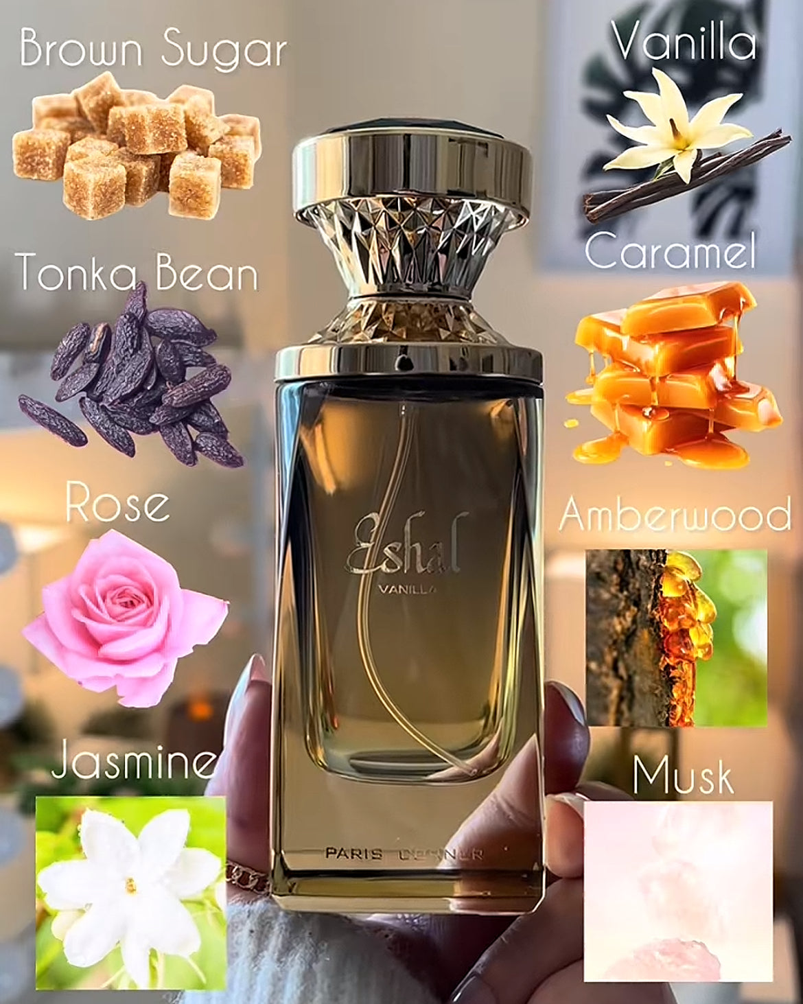 10mL Decant: Paris Corner Eshal Vanilla