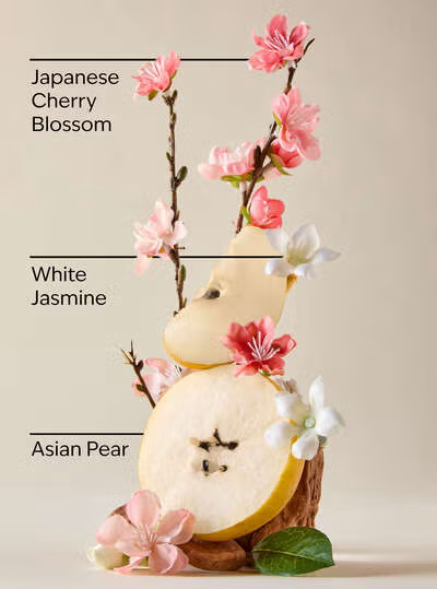 Japanese Cherry Blossom Fine Fragrance Mist