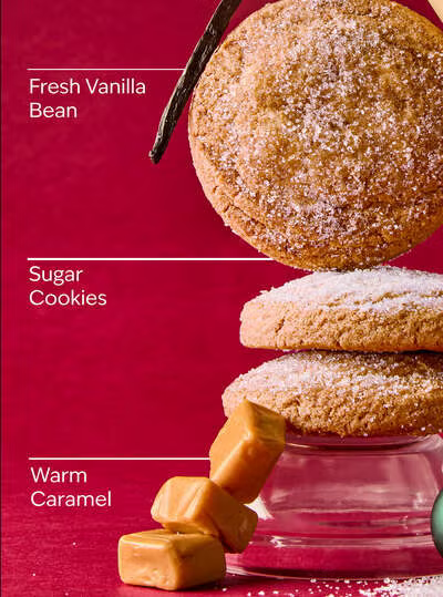 Vanilla Bean Noel
Fine Fragrance Mist